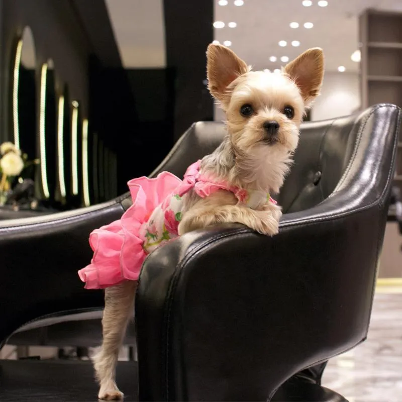 Floral Flounce Dog Dress